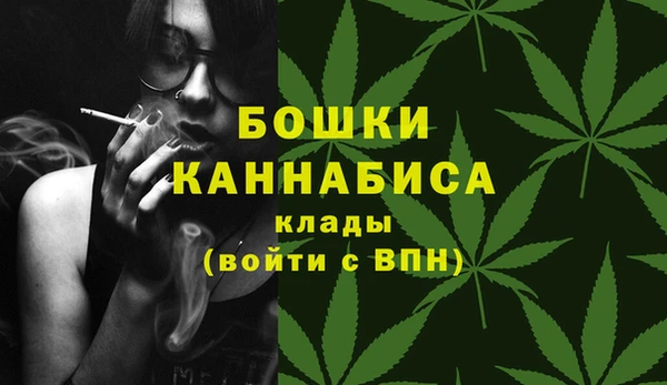 apvp Инта