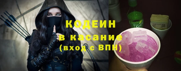 apvp Инта
