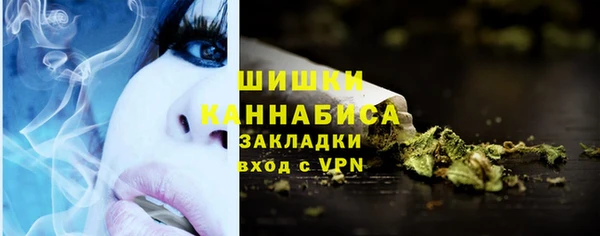 apvp Инта
