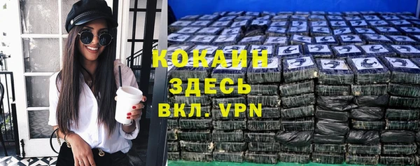 apvp Инта
