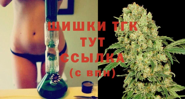 мет Инсар