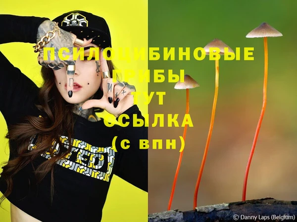 мет Инсар