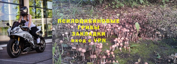 мет Инсар