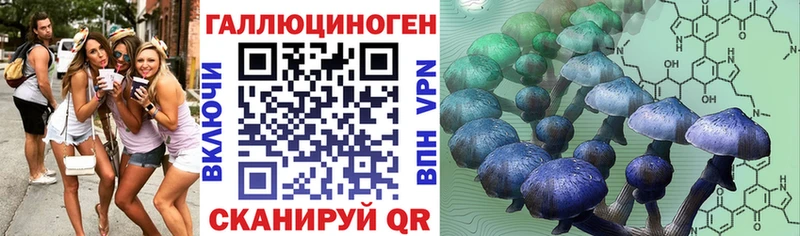 наркота  Калининск  Галлюциногенные грибы ЛСД 